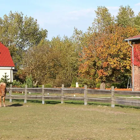 Ferienhof Am Leuchtturm Nr 3 * Ostseebad Kühlungsborn